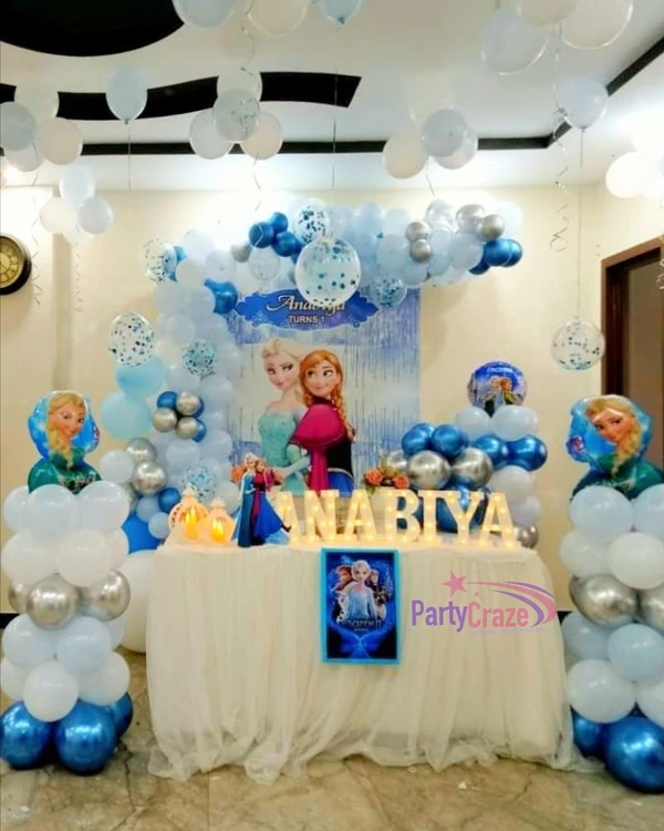 Frozen Theme  Kids Birthday Decor 145