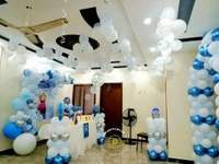 Frozen Theme  Kids Birthday Decor 145