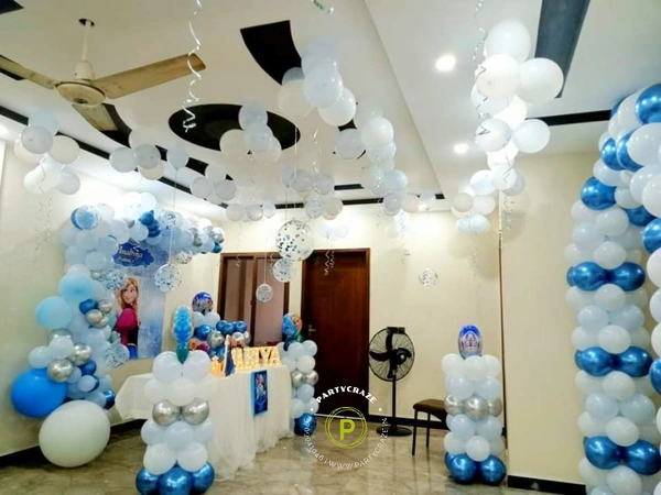Frozen Theme  Kids Birthday Decor 145