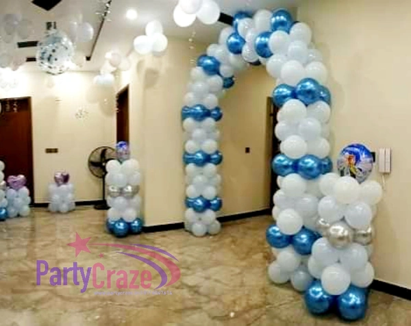 Frozen Theme  Kids Birthday Decor 145