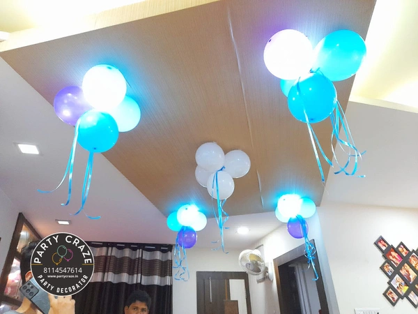 Frozen Theme  Kids Birthday Decor 146