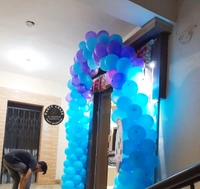 Frozen Theme  Kids Birthday Decor 146