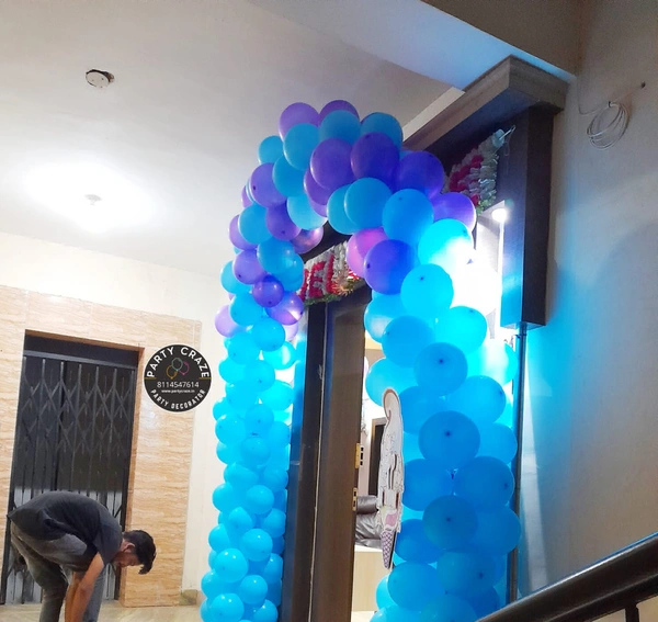 Frozen Theme  Kids Birthday Decor 146