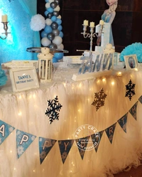 Frozen Theme 