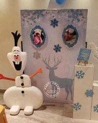 Frozen Theme 