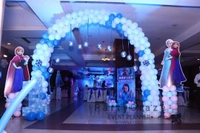 Frozen Theme 