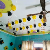 Adults Birthday Decor 23