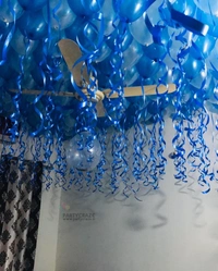Adults Birthday Decor 37