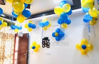 Adults Birthday Decor 49