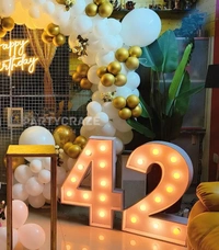 Adults Birthday Decor 68