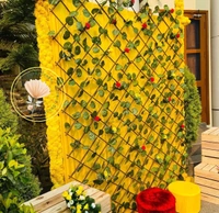 Haldi Mehndi Decor 15