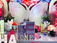 Butterfly Theme 