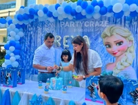 Frozen Theme 