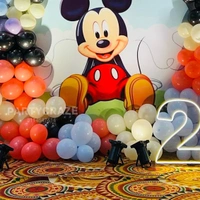 Mickey Mouse & Club House Theme 