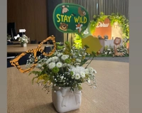 Jungle Safari Theme 