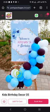 Balloon Decorators For Birthday Party In Naubatpur 