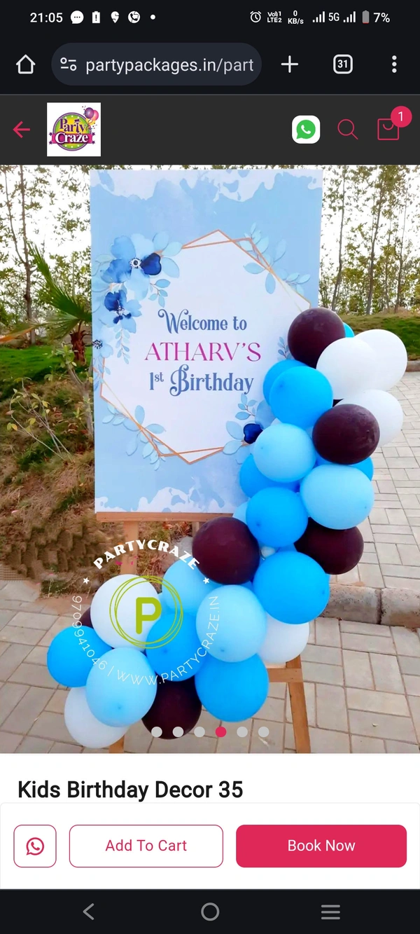 Balloon Decorators For Birthday Party In Naubatpur 