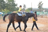 Horse Riding On Hire In Patna Bihar 