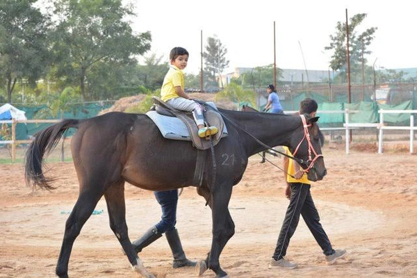 Horse Riding On Hire In Patna Bihar 