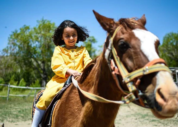Horse Riding On Hire In Patna Bihar 