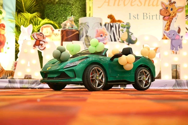 Jungle Safari Theme 