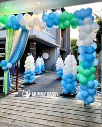 Frozen Theme 
