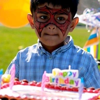 Face Painting Artists 