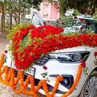 Wedding Car decor 5
