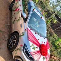 Wedding Car Decor 11