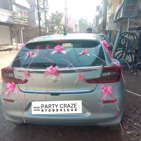 Wedding Car Decor 14