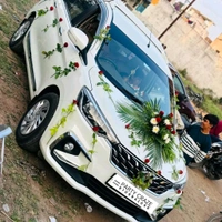 Wedding Car Decor 15