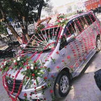 Wedding Car Decor 22