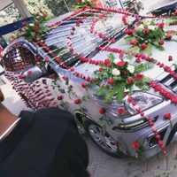 Wedding Car Decor 22