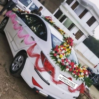 Wedding Car Decor 23