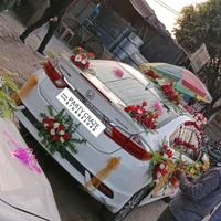 Wedding Car Decor 25