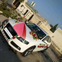 Wedding Car Decor 27