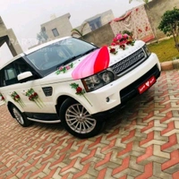 Wedding Car Decor 27