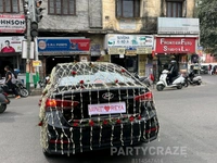 Wedding Car Decor 31