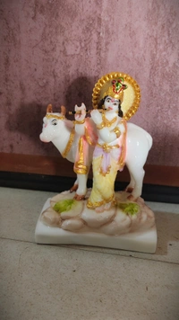 GOU MATA WITH RADIUM
