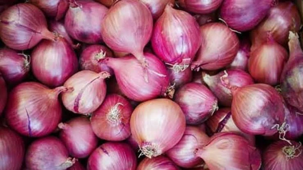 Retail Onion(रिटेल प्याज)