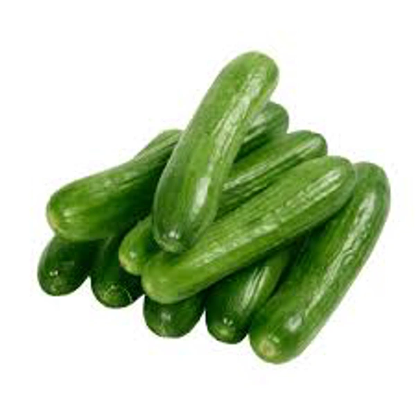 French Cucumber (फ्रेंच खीरा)