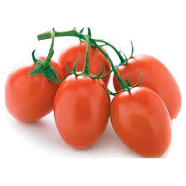 Hybrid Tomato(हाइब्रिड टमाटर)