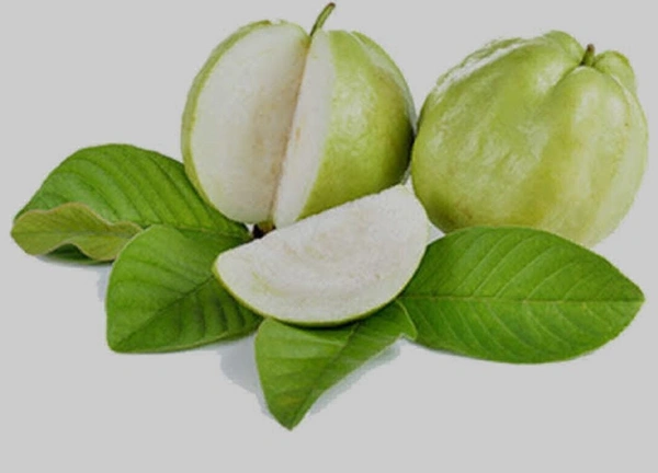 Guava(अमारूद)