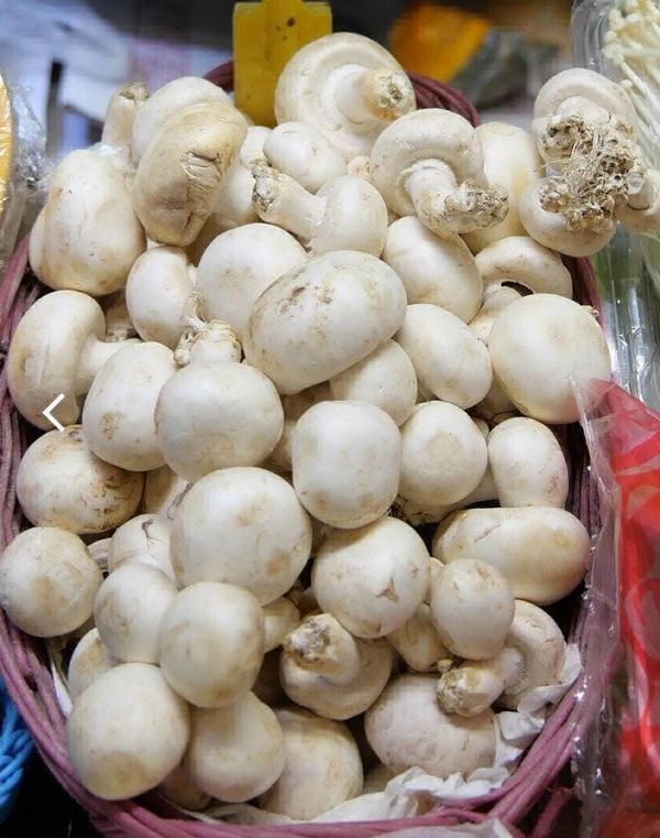 Mashroom (मशरूम)