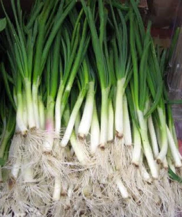 Green Onion(हरि प्याज)