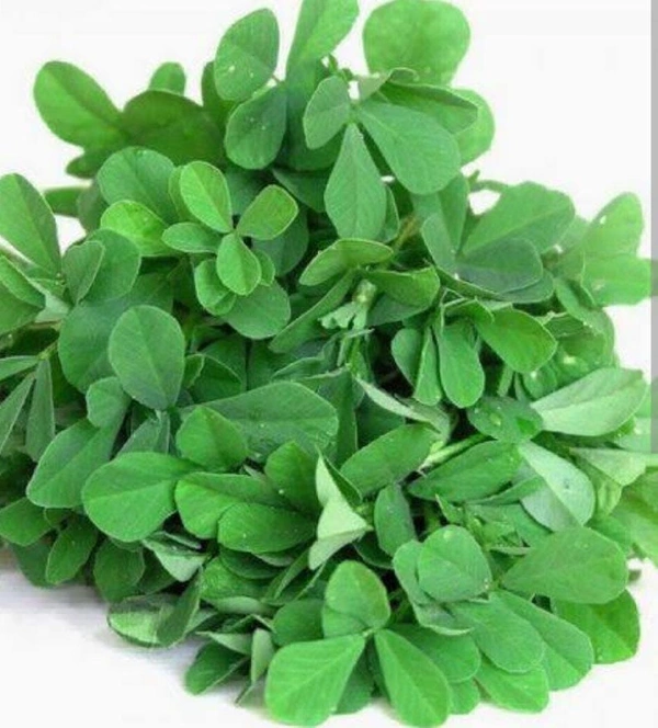 Fenugreek(मेथी)