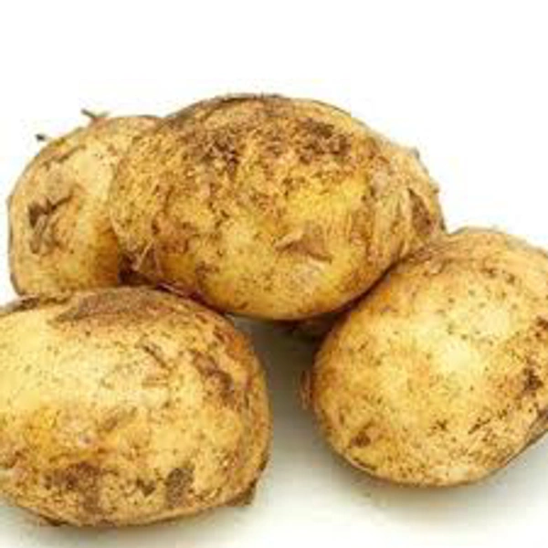 Retail New Potato(रिटेल नया आलू)