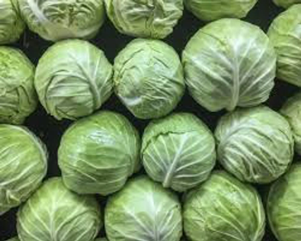 Cabbage Retail(पत्ता गोभी रिटेल)