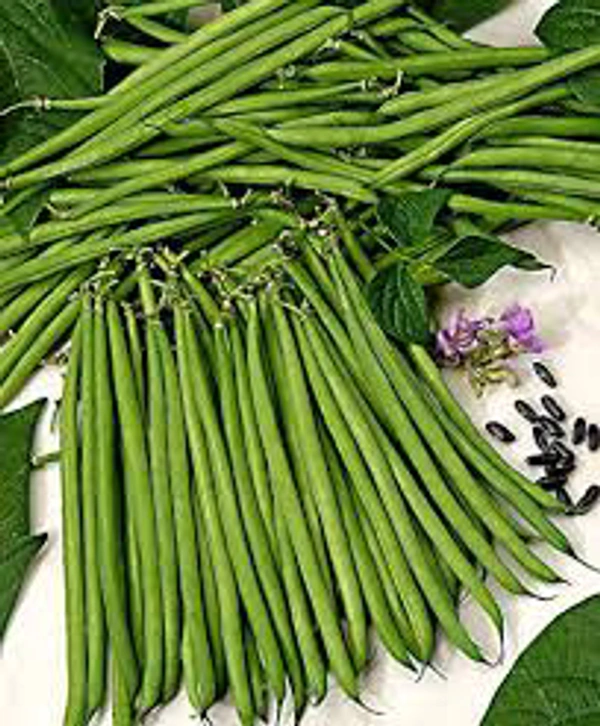 French Beans(फ्रेंच बीन्स)