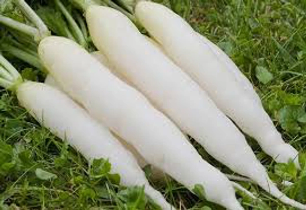 Wholesale reddish-20kg